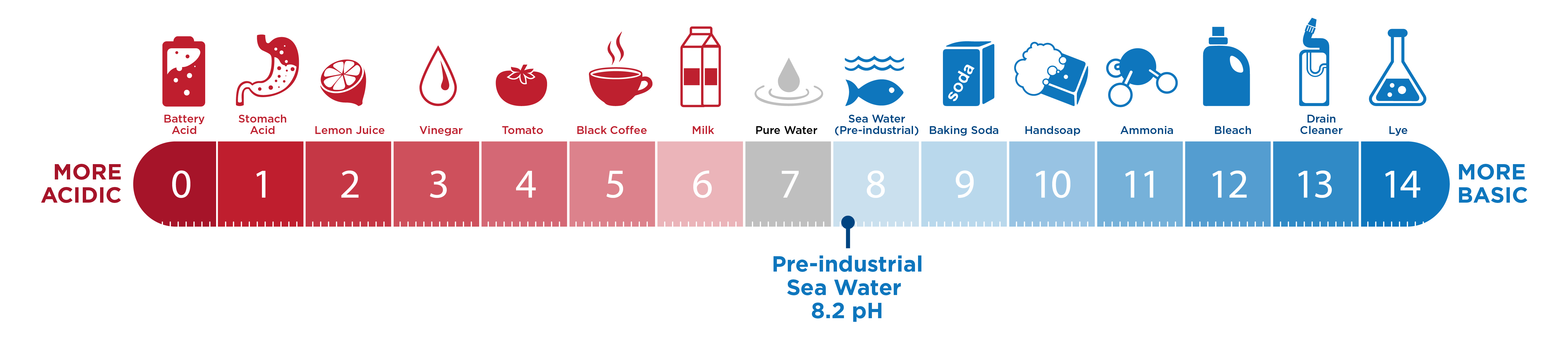 co2-and-ocean-acidification-causes-impacts-solutions-union-of