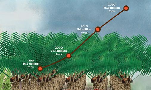 What's Driving Deforestation?  Union of Concerned Scientists