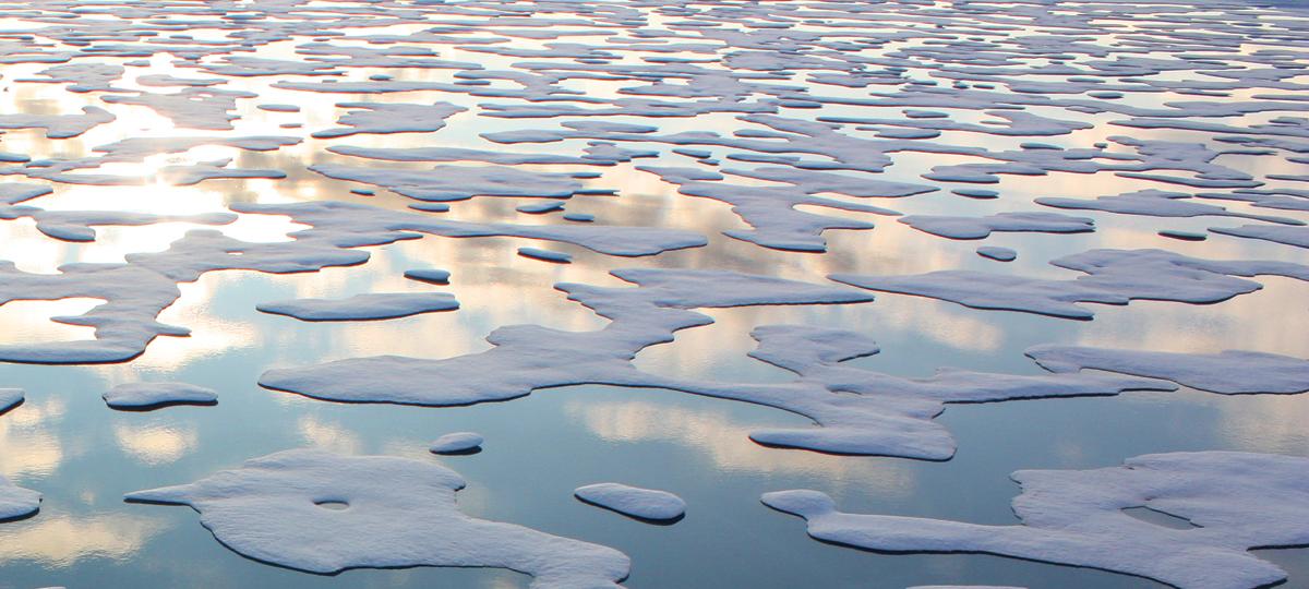 Arctic Climate Impact Assessment | Union of Concerned Scientists