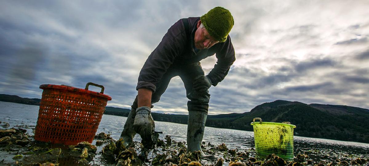 tracing-responsibility-for-climate-change-ocean-acidification-union