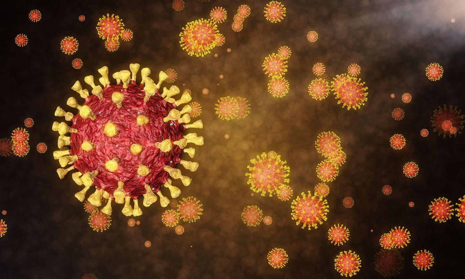 A 3D rendering of coronavirus. 