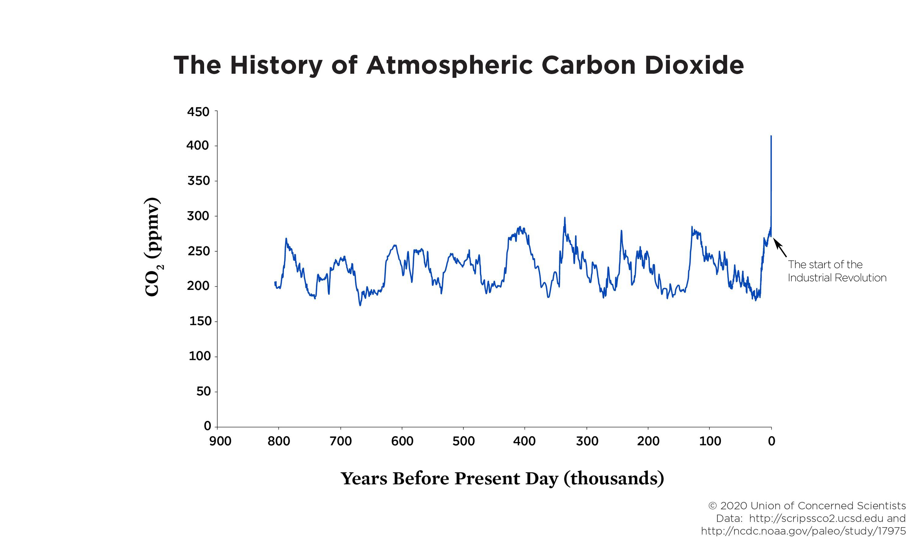 carbon-dioxide-transport-carbon-dioxide-respiratory-system-science