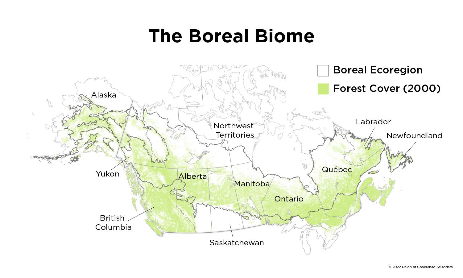 Carbon Emissions From Boreal Forest Wildfires | Union Of Concerned ...