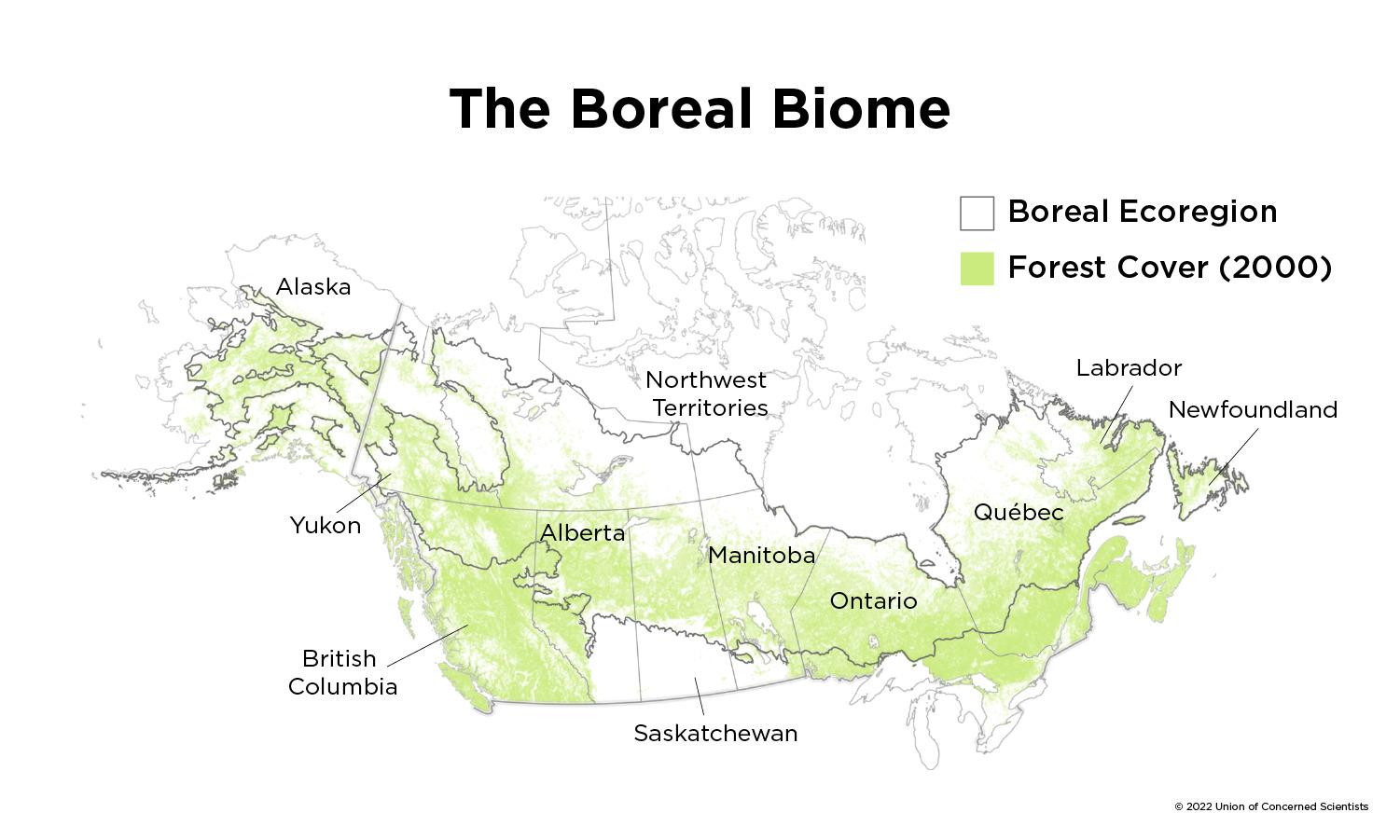 map of the boreal biome