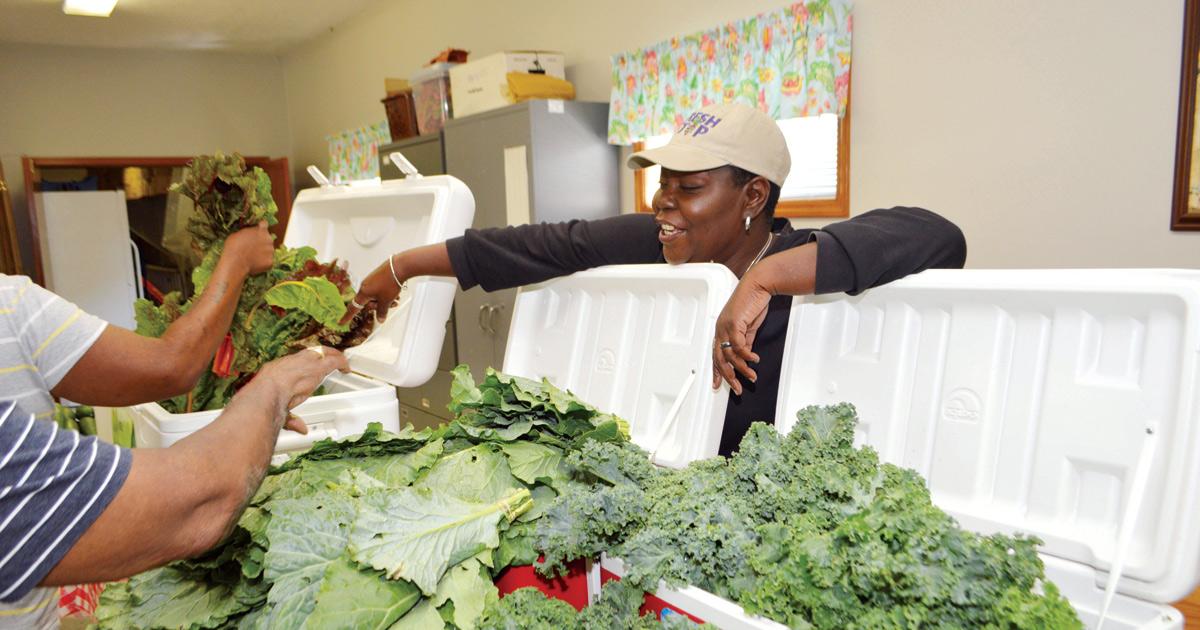 Providing healthy food to those in need