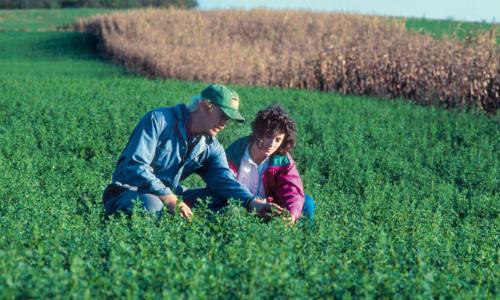 A male scientist and female farmer squat in a field