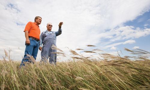 Farmer talking to a USDA scientist about his wheat crop