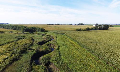 Saturated buffer in Story County, Iowa