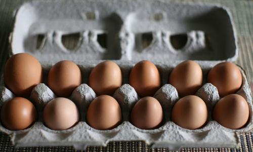 Free range eggs from Pennypack Farm in Horsham, PA