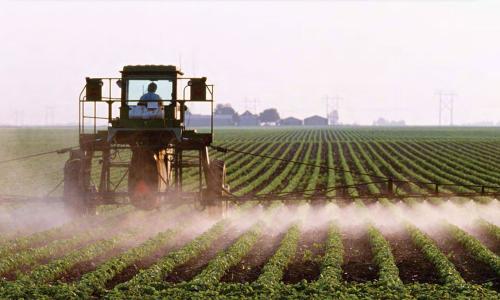 Farmer spraying pesticide on crops