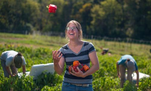 Young woman farmer tossing red pepper in the air
