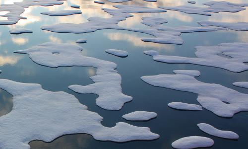 Sea Ice in the Arctic Ocean