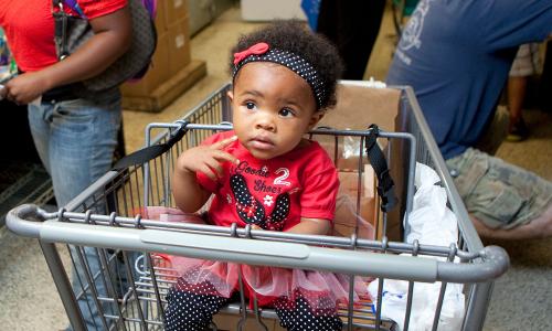 Toddler sitting in shopping cart