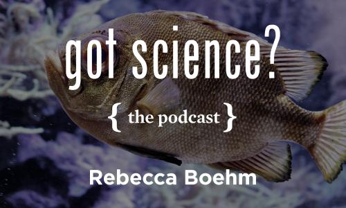 Got Science? The Podcast - Rebecca Boehm 
