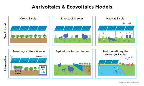 A figure showing traditional and alternative agrivoltaics and ecovoltaics models