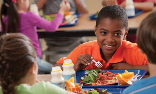 childhood obesity in school lunches