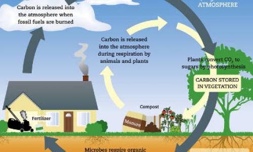 How to Install the Home Composter - The CarbonCycle Company